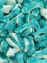 Freeze Dried blue sharks